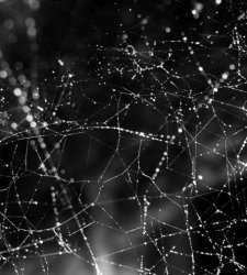 A Siracusa arriva il nuovo progetto di Tomás Saraceno, nell'area archeologica della Neapolis A Siracusa arriva il nuovo progetto di Tomás Saraceno, nell'area archeologica della Neapolis