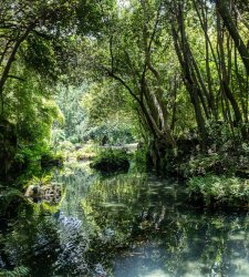 La Reggia di Caserta dedica una grande mostra alla storia del giardino, con duecento opere La Reggia di Caserta dedica una grande mostra alla storia del giardino, con duecento opere