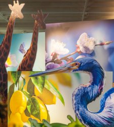 XNL Piacenza inaugura il programma Arte con l'opera-mostra di Francesco Simeti  XNL Piacenza inaugura il programma Arte con l'opera-mostra di Francesco Simeti