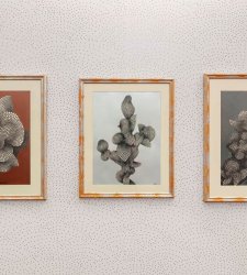 Corrado Cagli, artista copernicano. La mostra al Museo Novecento di Firenze Corrado Cagli, artista copernicano. La mostra al Museo Novecento di Firenze