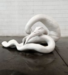 Il Museo di Storia Innaturale di Dario Ghibaudo va in mostra nella sua Cuneo  Il Museo di Storia Innaturale di Dario Ghibaudo va in mostra nella sua Cuneo