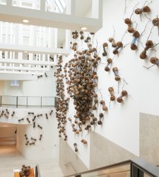 Settecento formiche giganti invadono il Rijksmuseum: l'installazione di Rafael Gomezbarros Settecento formiche giganti invadono il Rijksmuseum: l'installazione di Rafael Gomezbarros