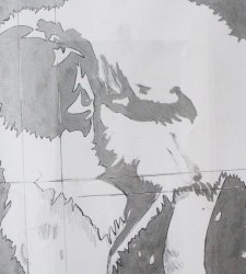Il CAMeC di Spezia dedica una grande mostra a Giosetta Fioroni  Il CAMeC di Spezia dedica una grande mostra a Giosetta Fioroni