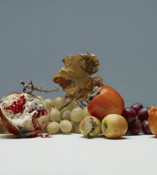 Il Museo di Riva del Garda omaggia Luciano Ventrone, il Caravaggio del XX secolo, a un anno dalla scomparsa Il Museo di Riva del Garda omaggia Luciano Ventrone, il Caravaggio del XX secolo, a un anno dalla scomparsa