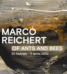 Milan, Ribot presents Of ants and bees, solo exhibition by German artist Marco Reichert Milan, Ribot presents Of ants and bees, solo exhibition by German artist Marco Reichert