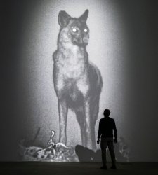 Alla Fondazione Merz il nuovo progetto site-specific di Michal Rovner: protagonisti la paura e gli scacalli Alla Fondazione Merz il nuovo progetto site-specific di Michal Rovner: protagonisti la paura e gli scacalli