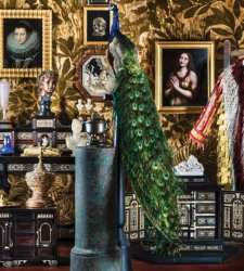 Come sarebbe stata la Wunderkammer di un collezionista del Seicento vissuto oggi? La ricreano i Musei Civici di Pavia Come sarebbe stata la Wunderkammer di un collezionista del Seicento vissuto oggi? La ricreano i Musei Civici di Pavia