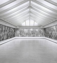 A Ferrara una collettiva di cinque artiste riflette sul rapporto uomo-natura  A Ferrara una collettiva di cinque artiste riflette sul rapporto uomo-natura