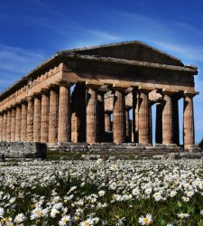 Paestum, what to see: the 8 must-see stops