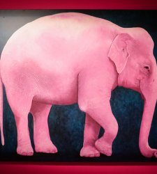 Animali fantastici a Bologna: Palazzo Albergati si trasforma nel Giardino delle Meraviglie Animali fantastici a Bologna: Palazzo Albergati si trasforma nel Giardino delle Meraviglie