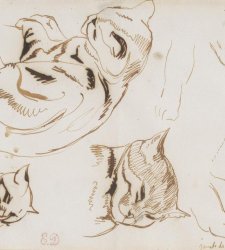 Animals drawn on paper from the 18th to the 21st century on display in Rome