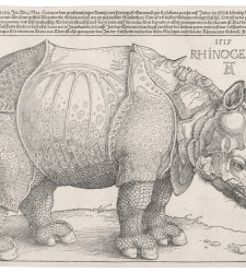 Trecento capolavori della Graphische Sammlung di Zurigo in mostra al MASI, da Dürer a Warhol Trecento capolavori della Graphische Sammlung di Zurigo in mostra al MASI, da Dürer a Warhol