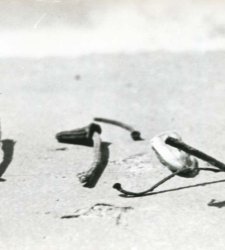 Milano, una mostra per le fotografie di Emilio Scanavino degli anni Sessanta Milano, una mostra per le fotografie di Emilio Scanavino degli anni Sessanta