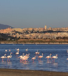 Cagliari, cosa vedere: 10 luoghi da non perdere in città