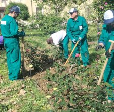 In Emilia Romagna corsi di formazione per diventare Giardiniere d'arte. Qualificati i primi ventitré