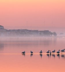Lago di Lesina, cosa vedere: i 5 luoghi da visitare Lago di Lesina, cosa vedere: i 5 luoghi da visitare