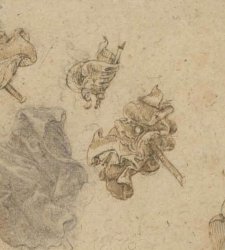 Livorno, ecco la mostra su Leonardo da Vinci: esposti 15 fogli Livorno, ecco la mostra su Leonardo da Vinci: esposti 15 fogli