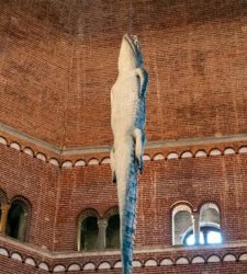 Il nuovo intervento di Maurizio Cattelan: un coccodrillo appeso nel Battistero di Cremona