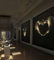 Milán, amplia exposición monográfica de Omar Galliani en el Palazzo Reale Milán, amplia exposición monográfica de Omar Galliani en el Palazzo Reale