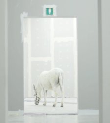 Residenza d'artista alla Fabbrica del Vapore. Ora in mostra gli slittamenti imprevisti degli artisti Residenza d'artista alla Fabbrica del Vapore. Ora in mostra gli slittamenti imprevisti degli artisti