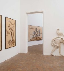 Naturale Innaturale: a Modena le opere di Dario Ghibaudo tra scienza e arte Naturale Innaturale: a Modena le opere di Dario Ghibaudo tra scienza e arte