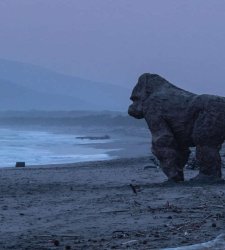 Un... gorilla al sole sulle spiagge dell'Argentario. È l'opera di Davide Rivalta per Hypermaremma Un... gorilla al sole sulle spiagge dell'Argentario. È l'opera di Davide Rivalta per Hypermaremma