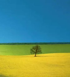 A Brescia una mostra raccoglie 122 opere di Franco Fontana, pioniere della fotografia a colori A Brescia una mostra raccoglie 122 opere di Franco Fontana, pioniere della fotografia a colori