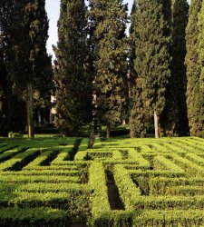 An ancient maze in the center of Verona: the Labyrinth of the Giusti Garden