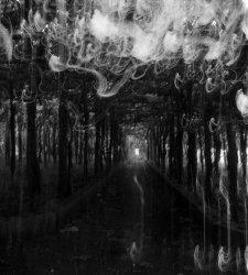 Villa Pisani a Stra accoglie una retrospettiva dedicata al fotografo Giorgio Cutini  Villa Pisani a Stra accoglie una retrospettiva dedicata al fotografo Giorgio Cutini