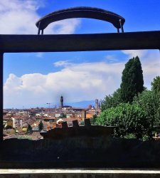 Comune di Firenze e Fondazione Folon lanciano concorso fotografico per il 90&deg; anniversario dell'artista
