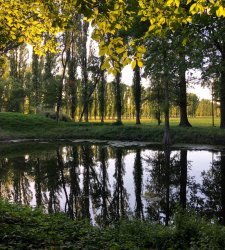 A Fontanellato, il Labirinto della Masone apre eccezionalmente il Parco Nascosto A Fontanellato, il Labirinto della Masone apre eccezionalmente il Parco Nascosto