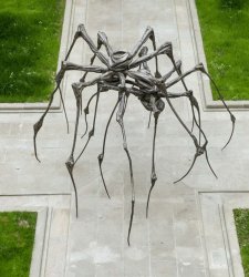 A Firenze in mostra l'arte di Louise Bourgeois racconta la psiche umana A Firenze in mostra l'arte di Louise Bourgeois racconta la psiche umana