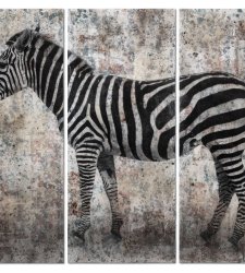 Gli animali di Manuel Felisi in mostra a Roma al Museo Carlo Bilotti Gli animali di Manuel Felisi in mostra a Roma al Museo Carlo Bilotti