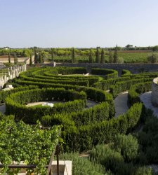 Un labirinto nel cuore del Salento. La Masseria Terre di Corillo Un labirinto nel cuore del Salento. La Masseria Terre di Corillo