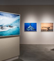 Alle Gallerie d'Italia di Torino la prima retrospettiva in Europa dedicata a Cristina Mittermeier Alle Gallerie d'Italia di Torino la prima retrospettiva in Europa dedicata a Cristina Mittermeier