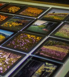 Il Museo Bagatti Valsecchi dedica una mostra all'architetto Pier Fausto Bagatti Valsecchi e al suo archivio  Il Museo Bagatti Valsecchi dedica una mostra all'architetto Pier Fausto Bagatti Valsecchi e al suo archivio