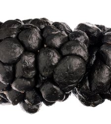 Shit photos: Oliviero Toscani's shots of excrement on display in Milan Shit photos: Oliviero Toscani's shots of excrement on display in Milan