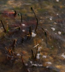 Nature and utopia: an exhibition with 13 leading contemporary artists in Perugia Nature and utopia: an exhibition with 13 leading contemporary artists in Perugia