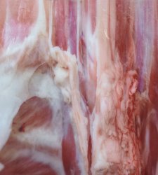 Streams of Spleen: la personale multisensoriale di Shahryar Nashat al MASI di Lugano Streams of Spleen: la personale multisensoriale di Shahryar Nashat al MASI di Lugano