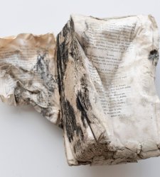 Il salvataggio dall'alluvione di 15mila libri in mostra al castello di Ferrara Il salvataggio dall'alluvione di 15mila libri in mostra al castello di Ferrara