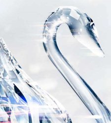 I cristalli di Swarovski invadono Brera. La mostra del marchio austriaco a Palazzo Citterio I cristalli di Swarovski invadono Brera. La mostra del marchio austriaco a Palazzo Citterio