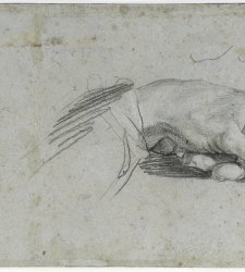 Al Louvre una mostra sui disegni preparatori degli affreschi della Galleria Farnese Al Louvre una mostra sui disegni preparatori degli affreschi della Galleria Farnese