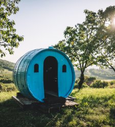 GO!2025, junge italienische und slowenische Künstler verwandeln Weinberge in einen permanenten Kunstpark GO!2025, junge italienische und slowenische Künstler verwandeln Weinberge in einen permanenten Kunstpark