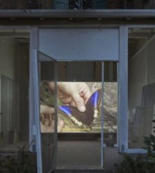 Bologna, al giardino di Palazzo Bentivoglio il film ΊΚΑΡΟΣ di Andreotta Calò e l’opera inedita di Ericailcane Bologna, al giardino di Palazzo Bentivoglio il film ΊΚΑΡΟΣ di Andreotta Calò e l’opera inedita di Ericailcane