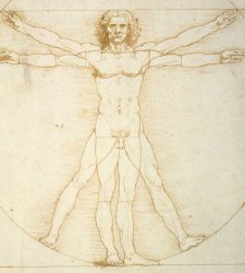 A Venezia una grande mostra con opere di grandi maestri sulla concezione del corpo nel Rinascimento A Venezia una grande mostra con opere di grandi maestri sulla concezione del corpo nel Rinascimento