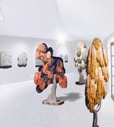 Matteo Cibic alla Fondazione Luigi Rovati, una riflessione sull’intelligenza delle piante Matteo Cibic alla Fondazione Luigi Rovati, una riflessione sull’intelligenza delle piante