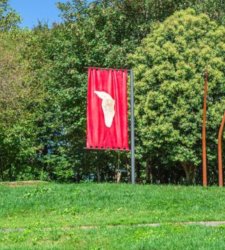 Paolo Chiasera porta la natura nell’Accademia Carrara di Bergamo con “Orti Tintori” Paolo Chiasera porta la natura nell’Accademia Carrara di Bergamo con “Orti Tintori”