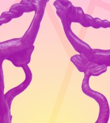 Museen und LGBTQIA+: ein ganzer Tag in Bologna zu diesem Thema  Museen und LGBTQIA+: ein ganzer Tag in Bologna zu diesem Thema