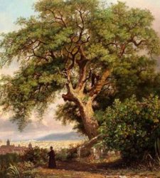Al Museo di Roma in Trastevere una mostra dedicata alla Quercia del Tasso al Gianicolo Al Museo di Roma in Trastevere una mostra dedicata alla Quercia del Tasso al Gianicolo