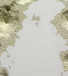 Zeno Bertozzi, la poesia del silenzio in mostra a Bologna Zeno Bertozzi, la poesia del silenzio in mostra a Bologna